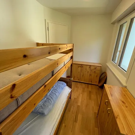 View Montana -swiss Alps