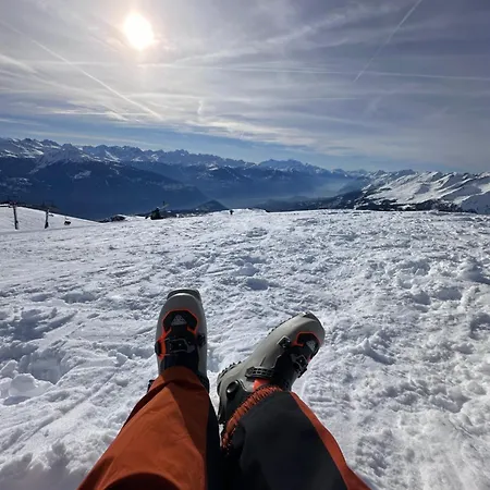 View Montana -swiss Alps
